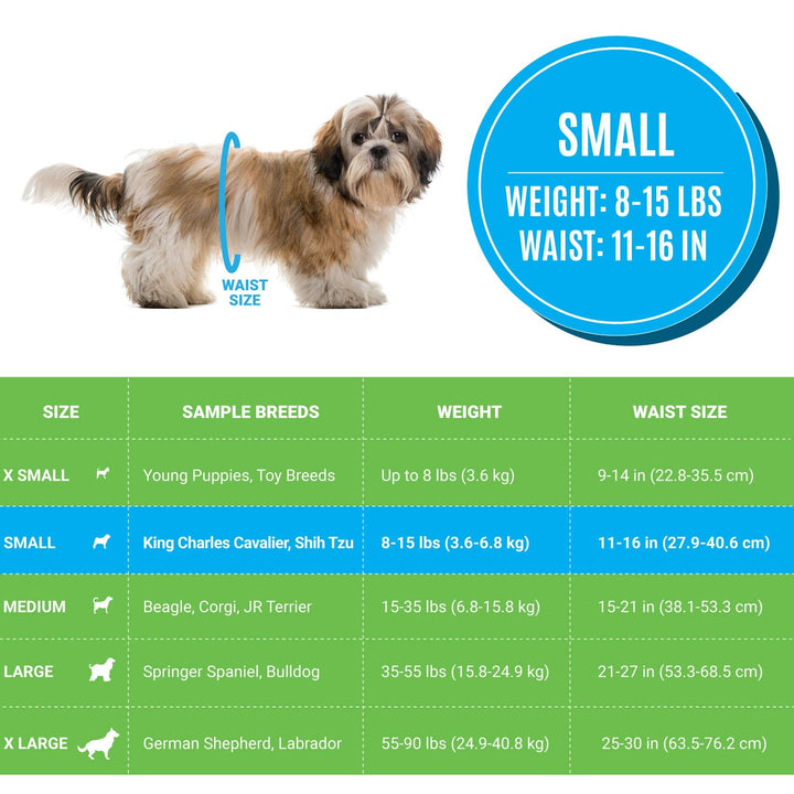 Disposable Male Dog Diapers - Super Absorbent, Leak-Proof Pee Wraps - Adjustable Fit, Comfortable Design, Advanced Moisture Control, and Wetness Indicator - Small (20 Count)