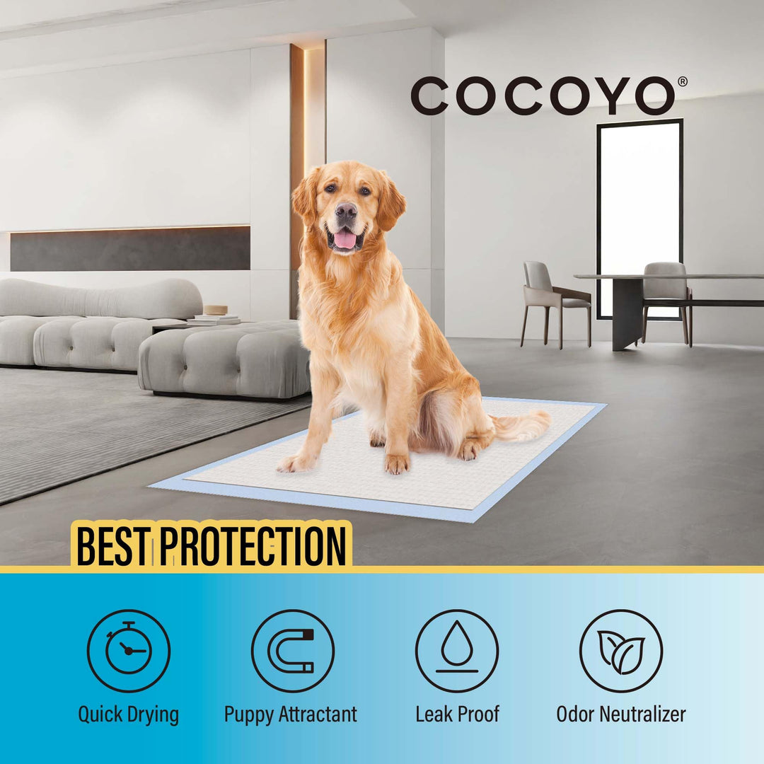 Best Value 22x22 Dog Training Pads 50 Count | Dog Pee Pads | Super Absorbent Puppy Pads,White