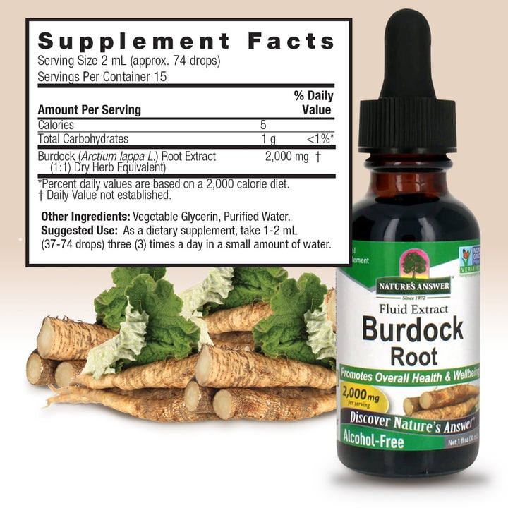 Nature&#39;s Answer Burdock Root Extract 1 Ounce - Alcohol Free, Made in USA, Vegan, Non GMO, No Artificial, Preservative Free - Supports Overall Wellness, Immune Support, Lymphatic Drainage