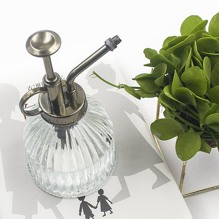 Glass Plant Mister Water Spray Bottle, 200 ML Glass Plant Spritzer Mister Bottle, Vintage Style Glass Succulent Watering Bottle with Top Pump, Plant Sprayer Mister for Indoor Plants - Clear