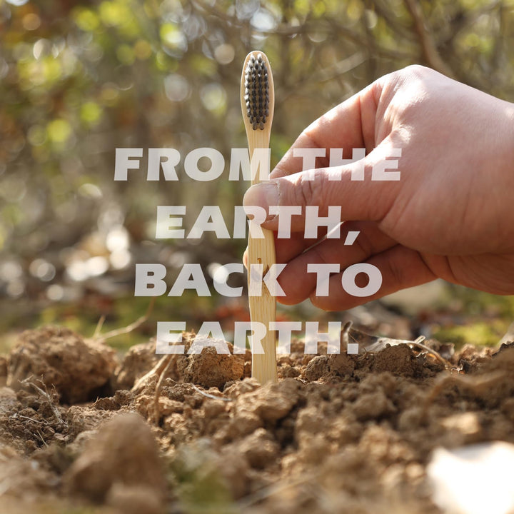 Biodegradable Eco-Friendly Natural Bamboo Charcoal Toot