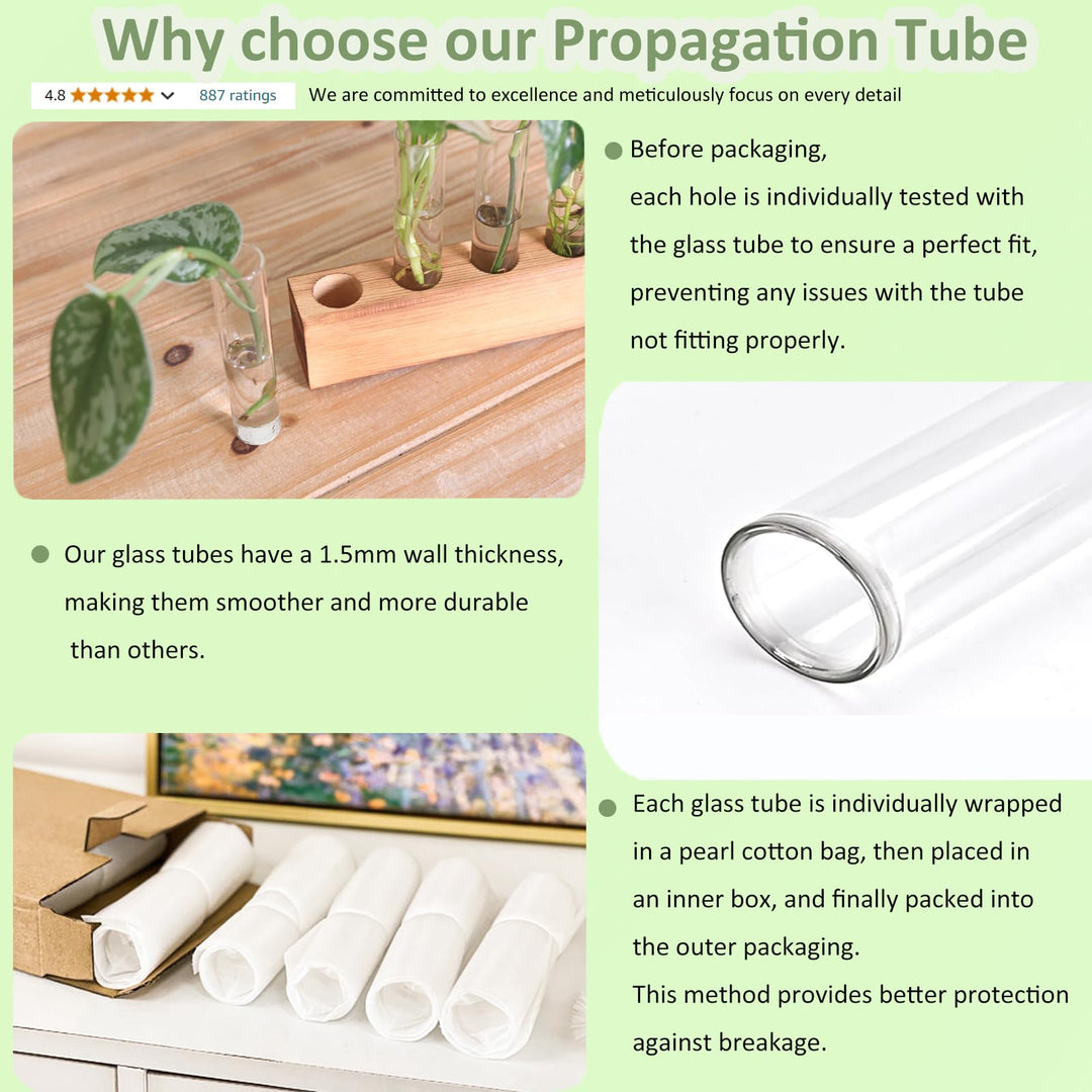 KAXYEW Plant Propagation Station, Plant Propagation Tubes, Gifts for Plant Lovers, Plants Cutting Holder Office Desk Garden Décor Gifts for Her Mom Women Hydroponic Vase Gift Box