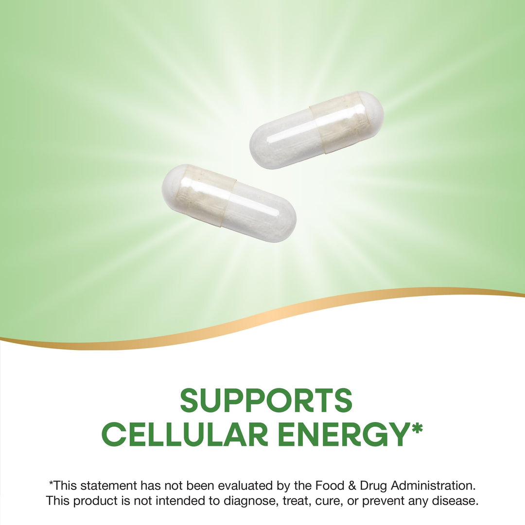 Nature&#39;s Way Pantothenic Acid, Supports Cellular Energy*, 500mg Per Serving, 100 Capsules