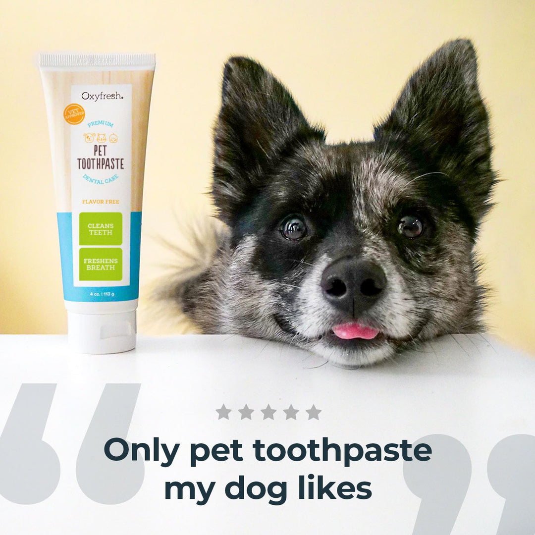 Oxyfresh Premium Dog Toothpaste – Best Dog Teeth Cleani