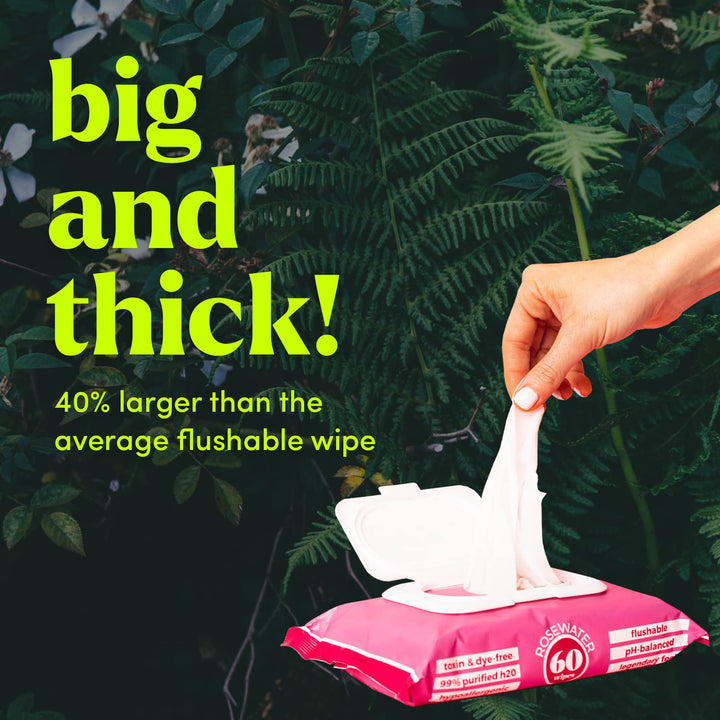 Goodwipes Flushable &amp; Biodegradable Wipes with 