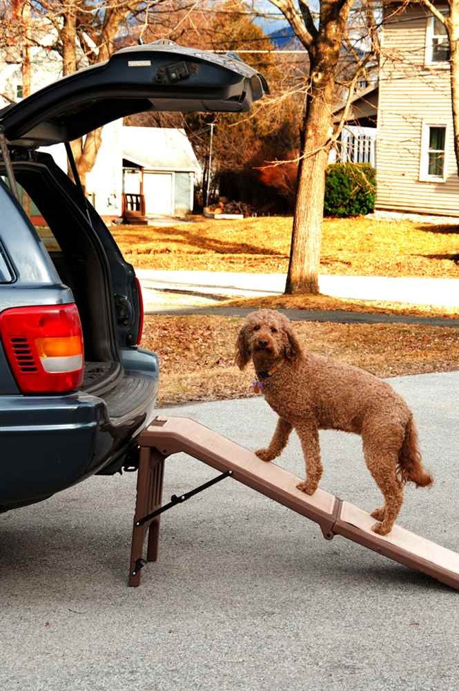 Free Standing Pet Ramp for Cats and Dogs, No Assembly Required, Easy Fold for Storage or Travel, Portable, Available in 6 Models