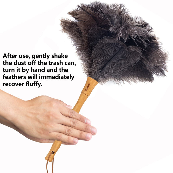 Aldwin Ostrich Feather Duster, 16 inch Ostrich Feather 