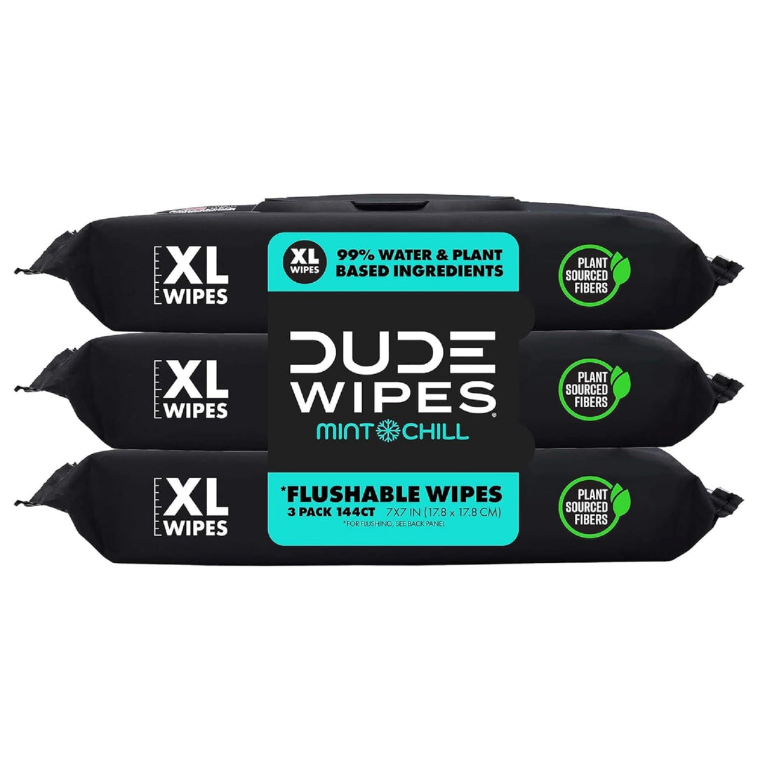 DUDE Wipes Flushable Wet Wipes Dispenser, Mint Chill, 4