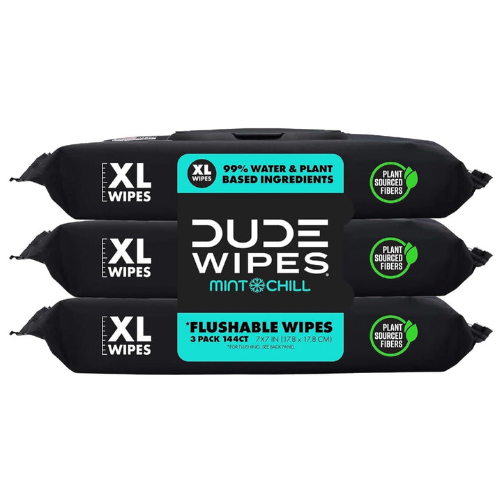 DUDE Wipes Flushable Wet Wipes Dispenser, Mint Chill, 4
