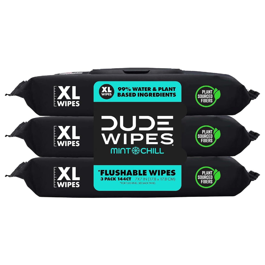 DUDE Wipes Flushable Wet Wipes Dispenser, Mint Chill, 4