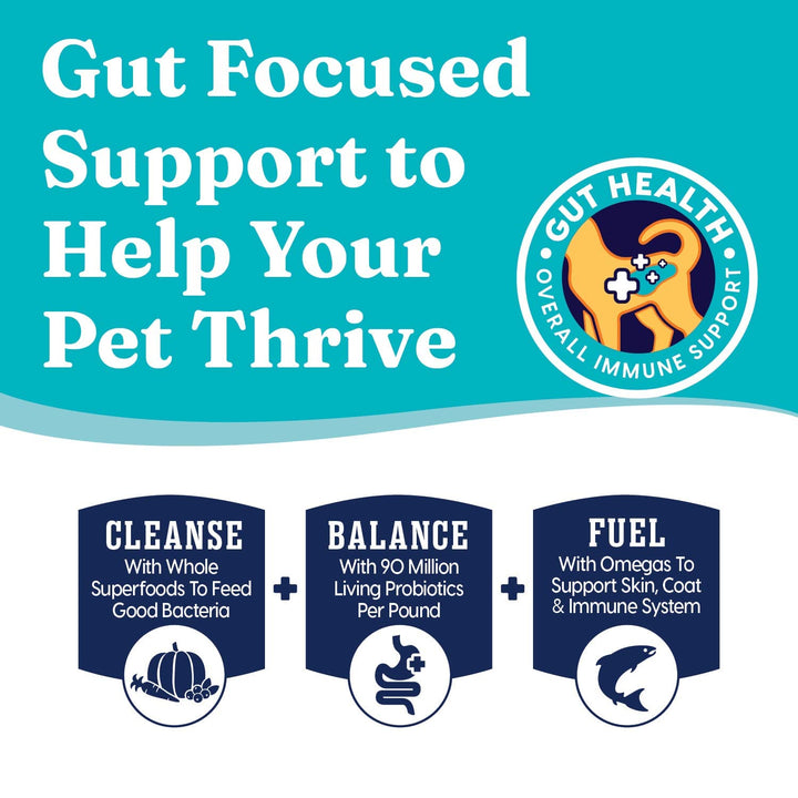 Indoor Dry Cat Food - Let&#39;s Stay in Cat Food Dry Kibble for Indoor Cats - Hairball &amp; Sensitive Stomach - Grain &amp; Gluten Free - Probiotics &amp; Fiber for Digestive Health - Chicken - 12lb