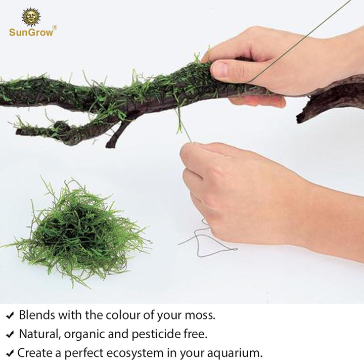 Plant Cotton Thread, 20 Meters, Green Color Similar to Willow Plant, Disintegrates Eventually, Securely Attaches Floating Plants