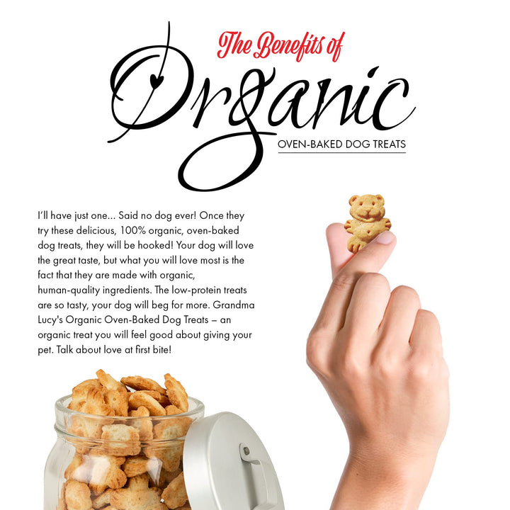 Grandma Lucy&#39;s - Organic Baked Dog Treats - Pumpkin - 14Oz