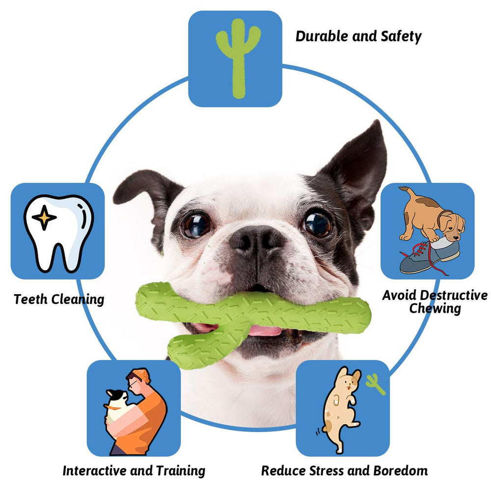 Dog Chew Toys for Aggressive Chewers, Durable Rubber Cactus Tough Toys for Training and Cleaning Teeth, Interactive Dog Toys for Small/Medium Dog