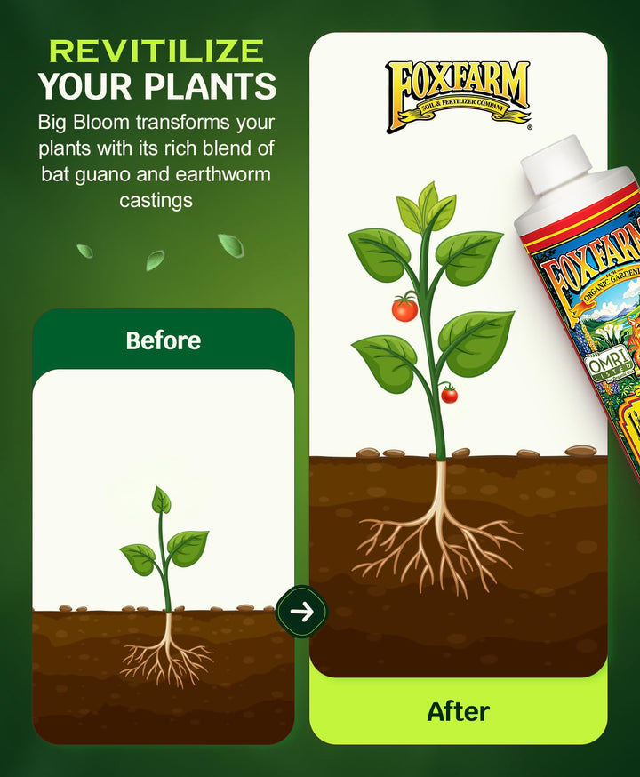 - Big Bloom Plant Food, Liquid Fertilizer Concentrate for Flowers, Fruits, and Vegetables, All Purpose Plant Fertilizer for Indoor &amp; Outdoor Potted Plants, NPK 0.01-0.03-0.7 (Pint)