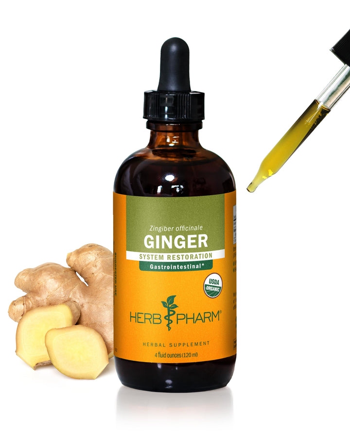 USDA Organic Ginger Root Extract*: Digestion &amp; Circulatory Support | Ginger Tincture for Occasional Nausea | Non-Bitter Vegan Digestive Supplement | 4 Oz, Up to 3 Months Supply