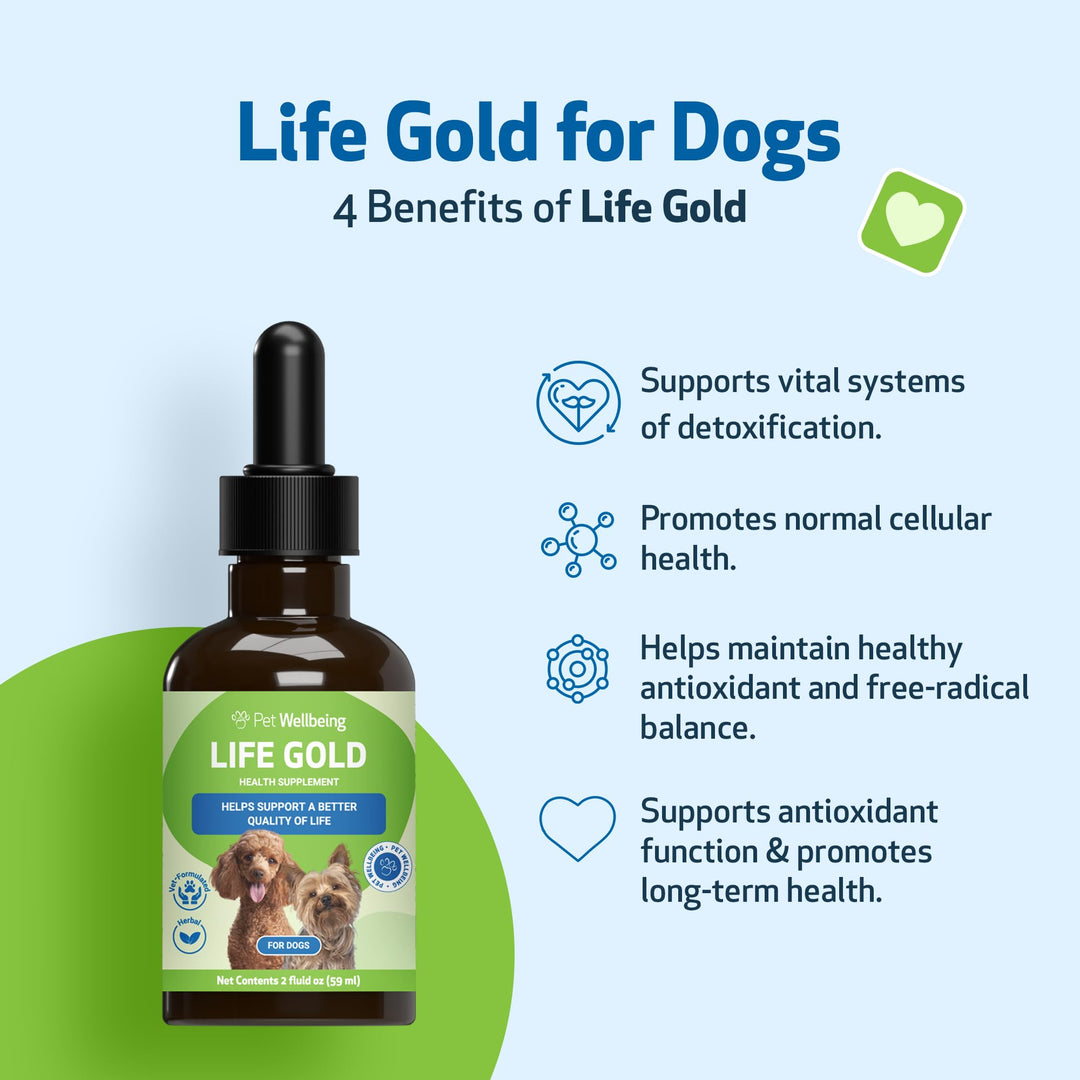 Life Gold for Dogs - Vet-Formulated - Immune Support and Antioxidant Protection - Natural Herbal Supplement 2 oz (59 ml)