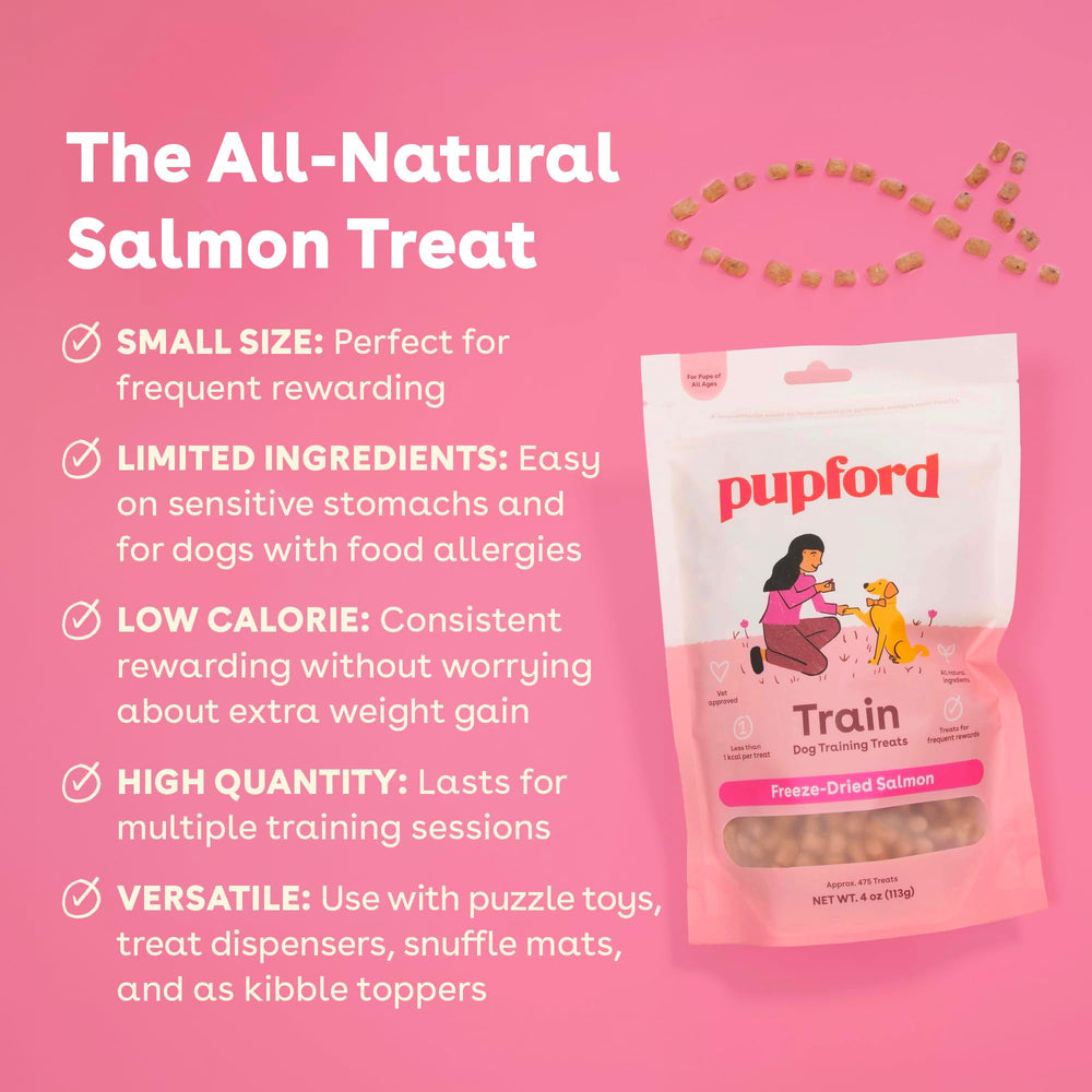 Freeze Dried Training Treats for Dogs & Puppies, 475+ Two Ingredient Bites (Salmon, 4 oz)