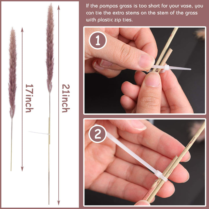 DomeStar 36PCS Pampas Grass, Natural Dried Pampas Reed Grass Plume Wedding Flower