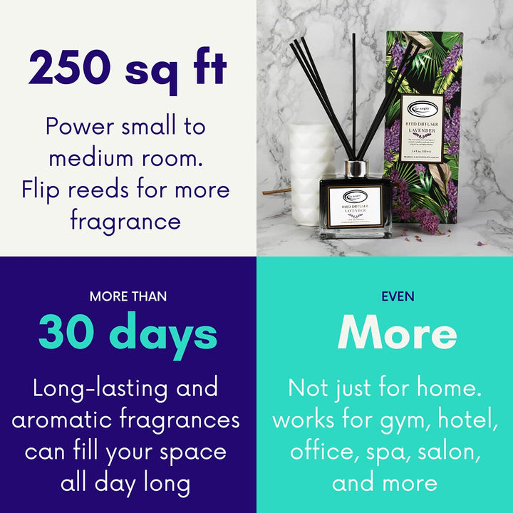 Air Jungles Lavender Scent Reed Diffuser Set with Sticks, Essential Incense Oil Air Freshener for Bathroom, Office, Gym, and Bedroom Fragrance, 3.4 fl. oz