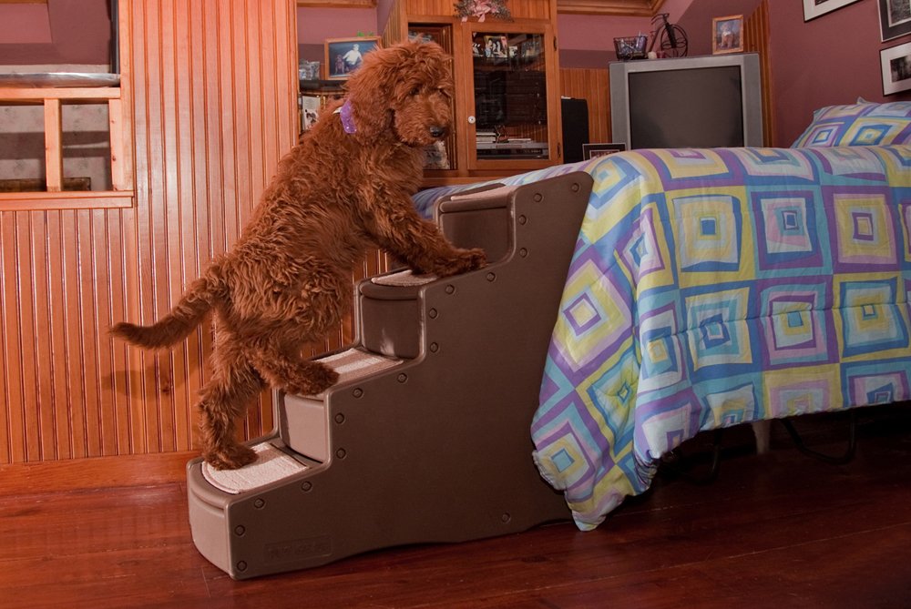 Easy Step IV Pet Stairs, 4 Step for Cats/Dogs, Removable Washable Carpet Treads, for Pets Up to 150lbs, No Tools Required, Available in 4 Colors
