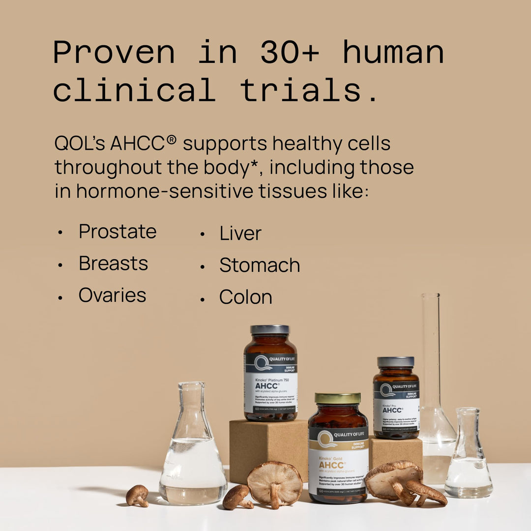 Premium Kinoko Gold AHCC Supplement–500mg of AHCC per Capsule–Supports Immune Health, Liver Function, Maintains Natural Killer Cell Activity &amp; Enhances Cytokine Production–60 Veggie Capsules