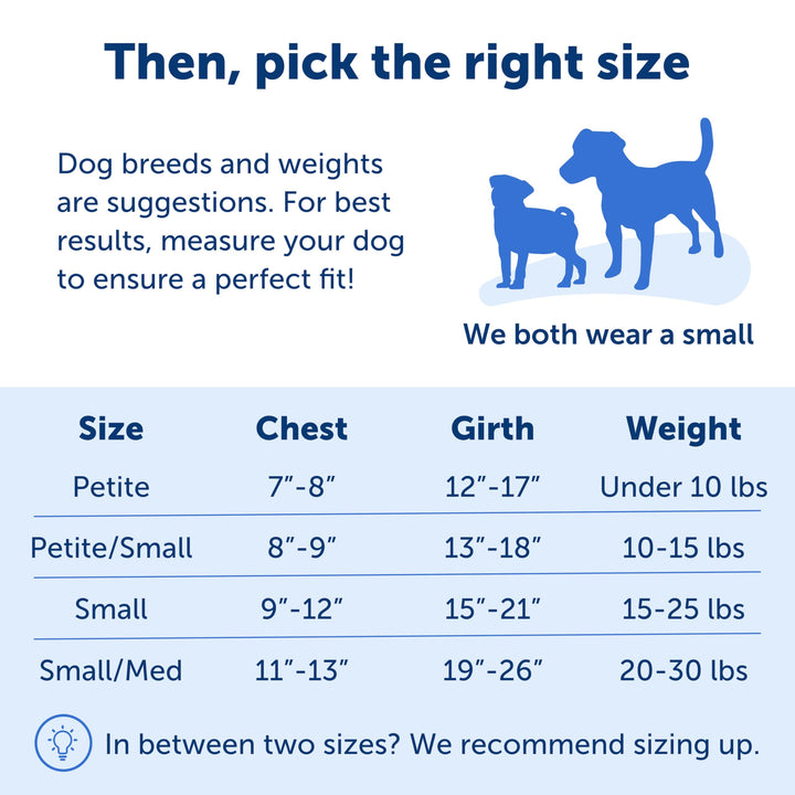 Easy Walk No-Pull Dog Harness - The Ultimate Harness to Help Stop Pulling - Take Control &amp; Teach Better Leash Manners - Helps Prevent Pets Pulling on Walks, Small, Royal Blue/Navy Blue