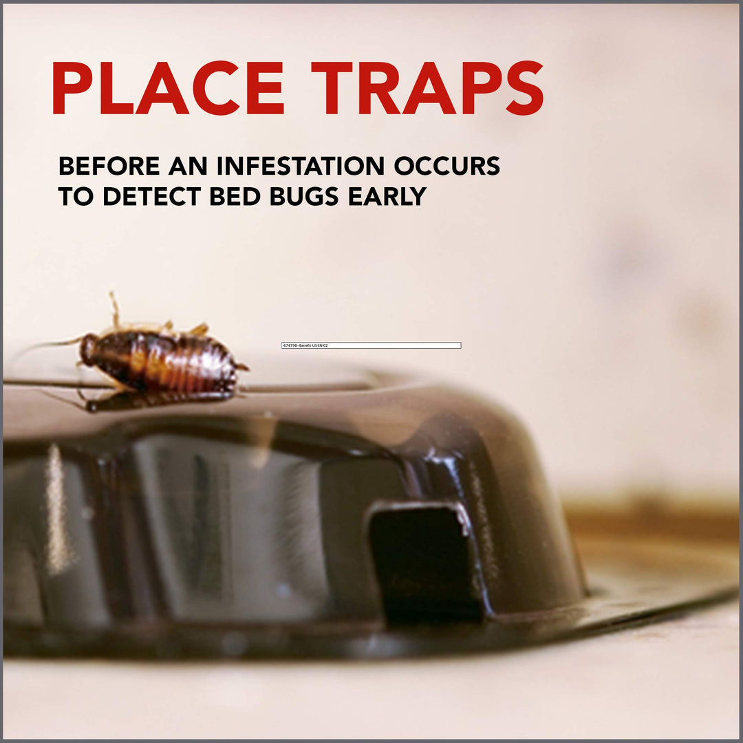 Raid Bed Bug Detector &amp; Trap, 8 ct
