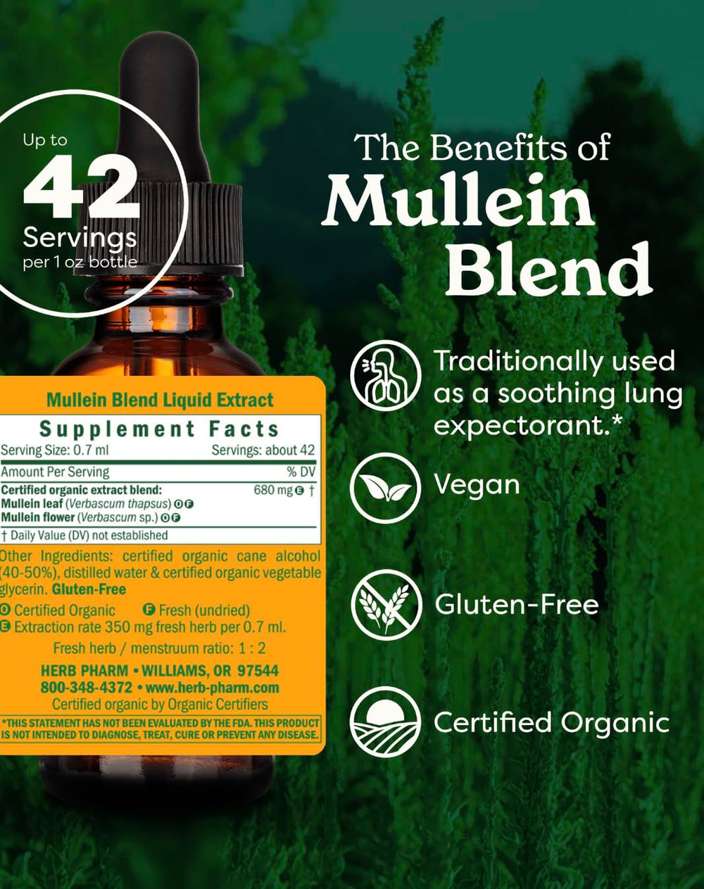 Herb Pharm Certified Organic Mullein Blend Liquid Extra