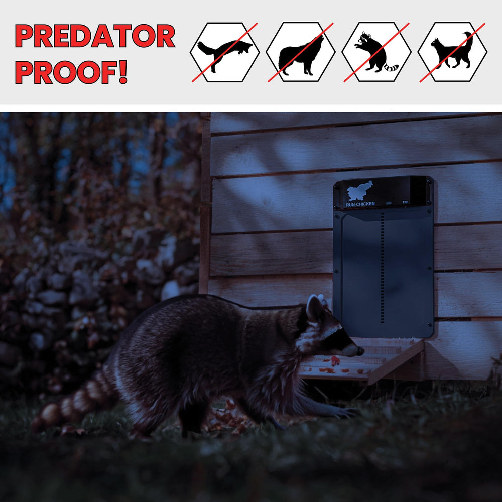 Door Automatic Chicken Coop Door Opener with Timer, Programmable Light Sensor, Battery Powered, Evening and Morning Delay, Aluminum , Model T50, (Gray)