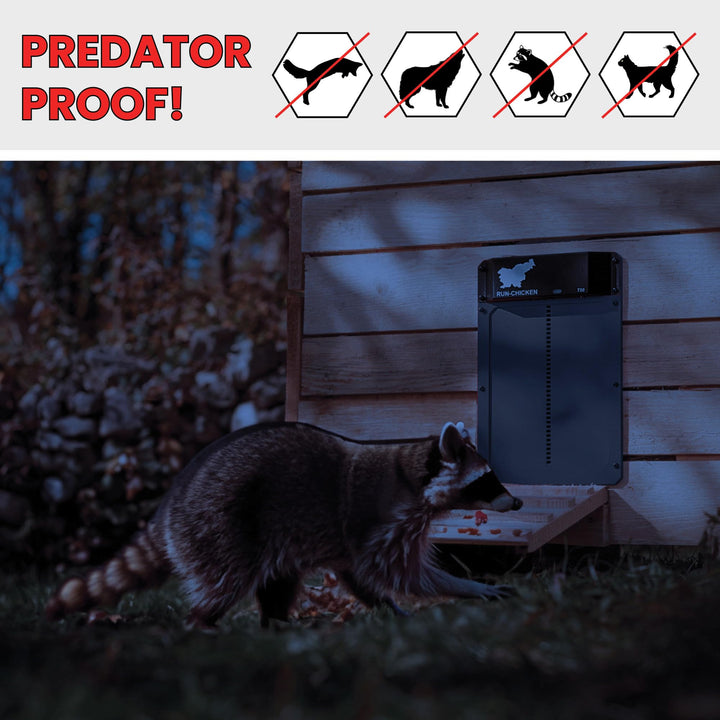 Door Automatic Chicken Coop Door Opener with Timer, Programmable Light Sensor, Battery Powered, Evening and Morning Delay, Aluminum , Model T50, (Gray)
