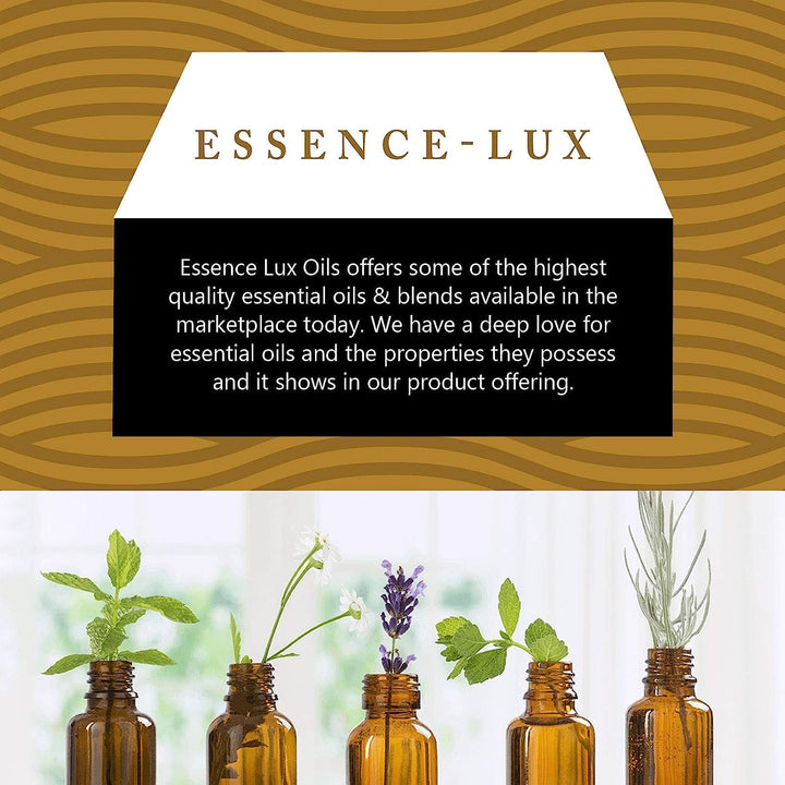 Essence-Lux Helichrysum, 30Ml: Helichrysum Essential Oi