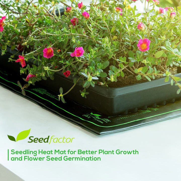 MET Certified 2 Pack Seedling Heat Mat, Waterproof Durable Germination Station Heat Mat, Warm Hydroponic Heating Pad for Indoor Home Gardening Seed Starter(10 X 20)