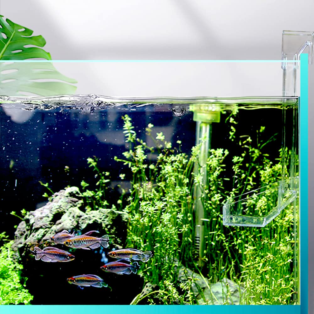Shrimp Fish Feeding Dish, Aquarium -Sky Restaurant- Betta Feeding - Prevent Food Spilling, Fish Feeder, Also Easy to Clean Up The Food Left Over, African Feeding, Dwarf Frogs Feeding
