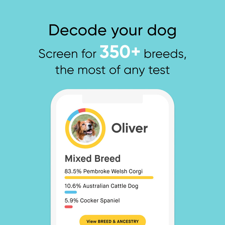 Breed &amp; Health Kit - Dog DNA Test - Discover Breed, Ancestry, Relative Finder, Genetic Health, Traits, COI