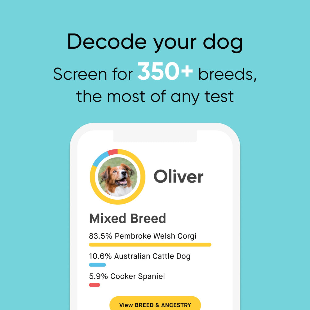 Breed Identification Kit - Most Accurate Dog DNA Testing Kit - 99% Breed Ancestry Accuracy for Mixed Breed Dogs - Plus Relative Finder & Family Tree