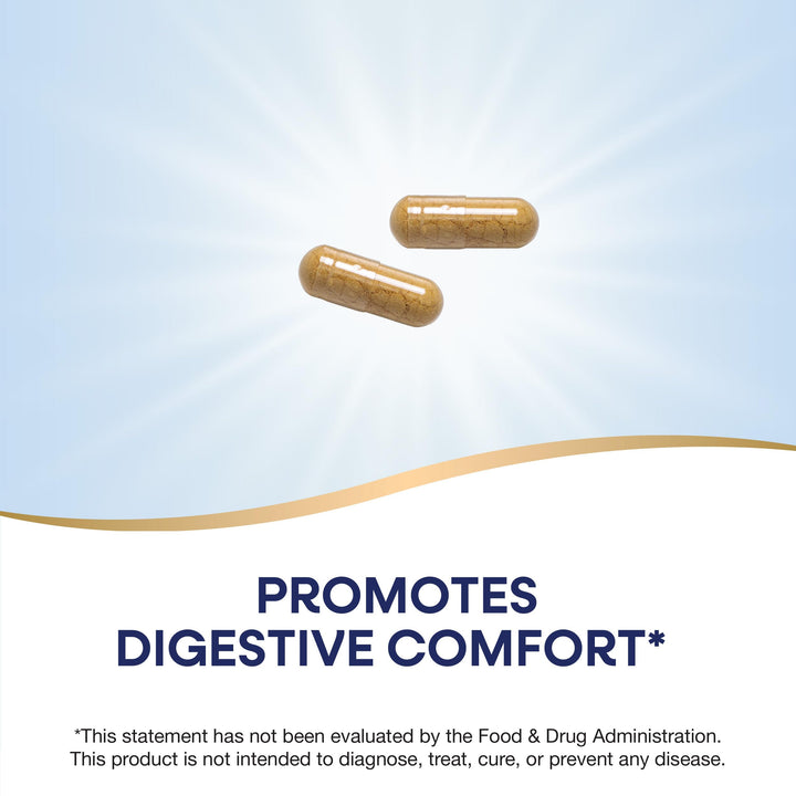 Nature&#39;s Way Ginger Root, Promotes Digestive Comfort*, 1,100 mg Per 2-capsule Serving, Non-GMO Project Verified, Vegan, 240 Capsules (Packaging May Vary)