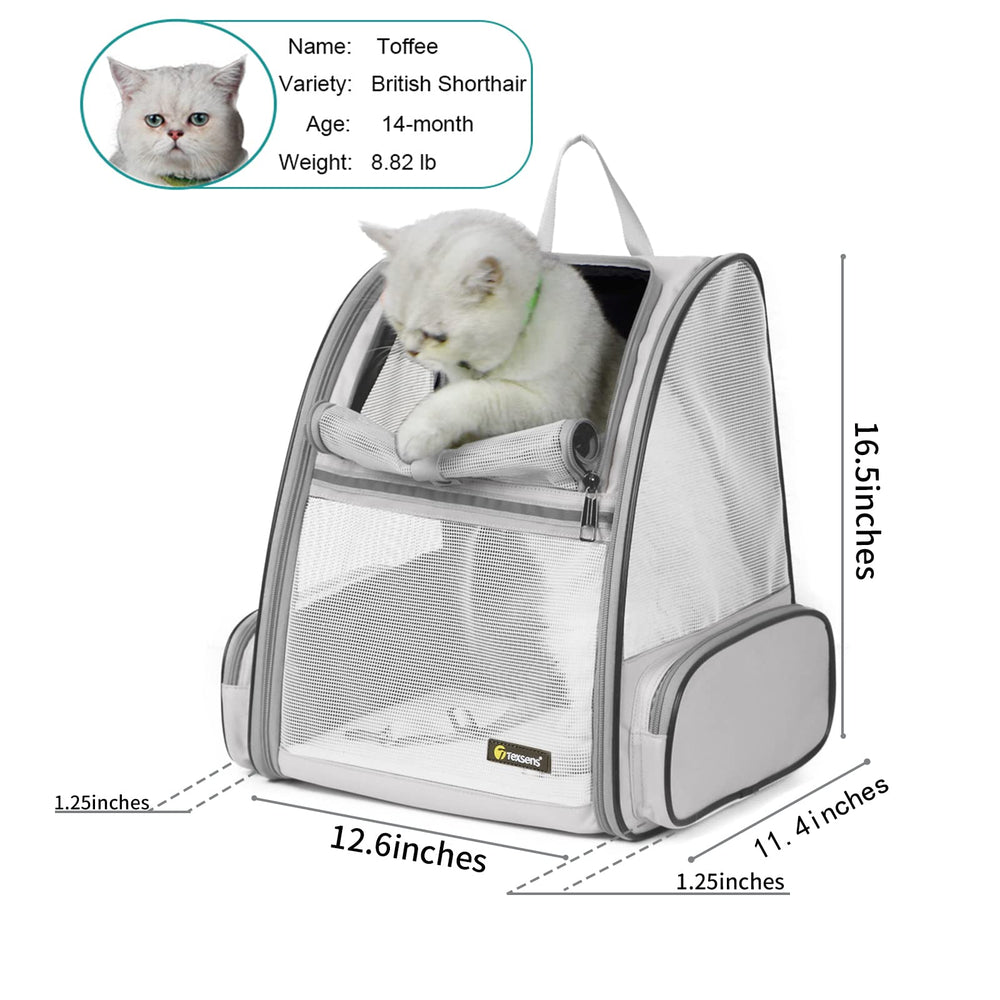 Pet Backpack Carrier for Small Cats Dogs | Ventilated Design, Safety Straps, Buckle Support, Collapsible | Designed for Travel, Hiking & Outdoor Use (Light Gray)