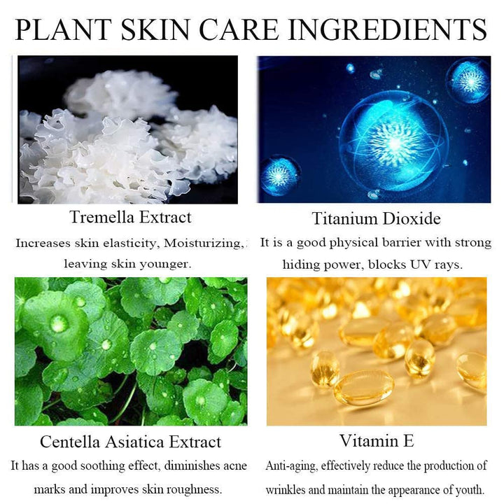 ALOE Cushion CC Cream Mushroom Head Foundation, Moisturizing BB Cream Makeup Long (natural color ï¼Å’Ivory white) (1#NATURAL COLOR)