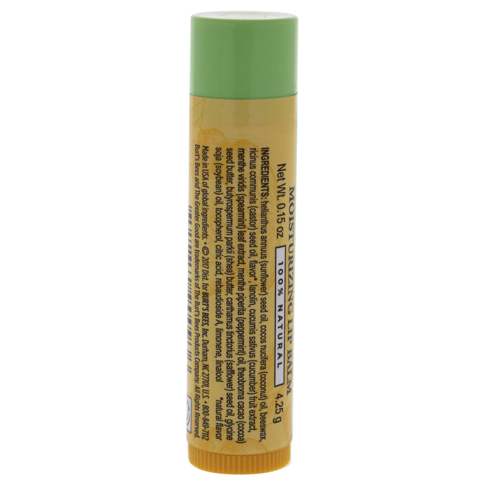 Burtâ‚¬â„¢s Bees Cucumber Lip Balm (pack of 4)