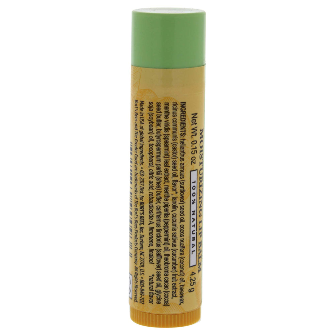 Burtâ‚¬â„¢s Bees Cucumber Lip Balm (pack of 4)