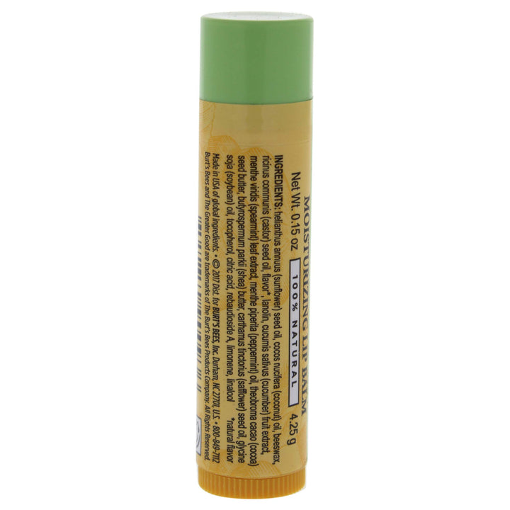 Burtâ‚¬â„¢s Bees Cucumber Lip Balm (pack of 4)