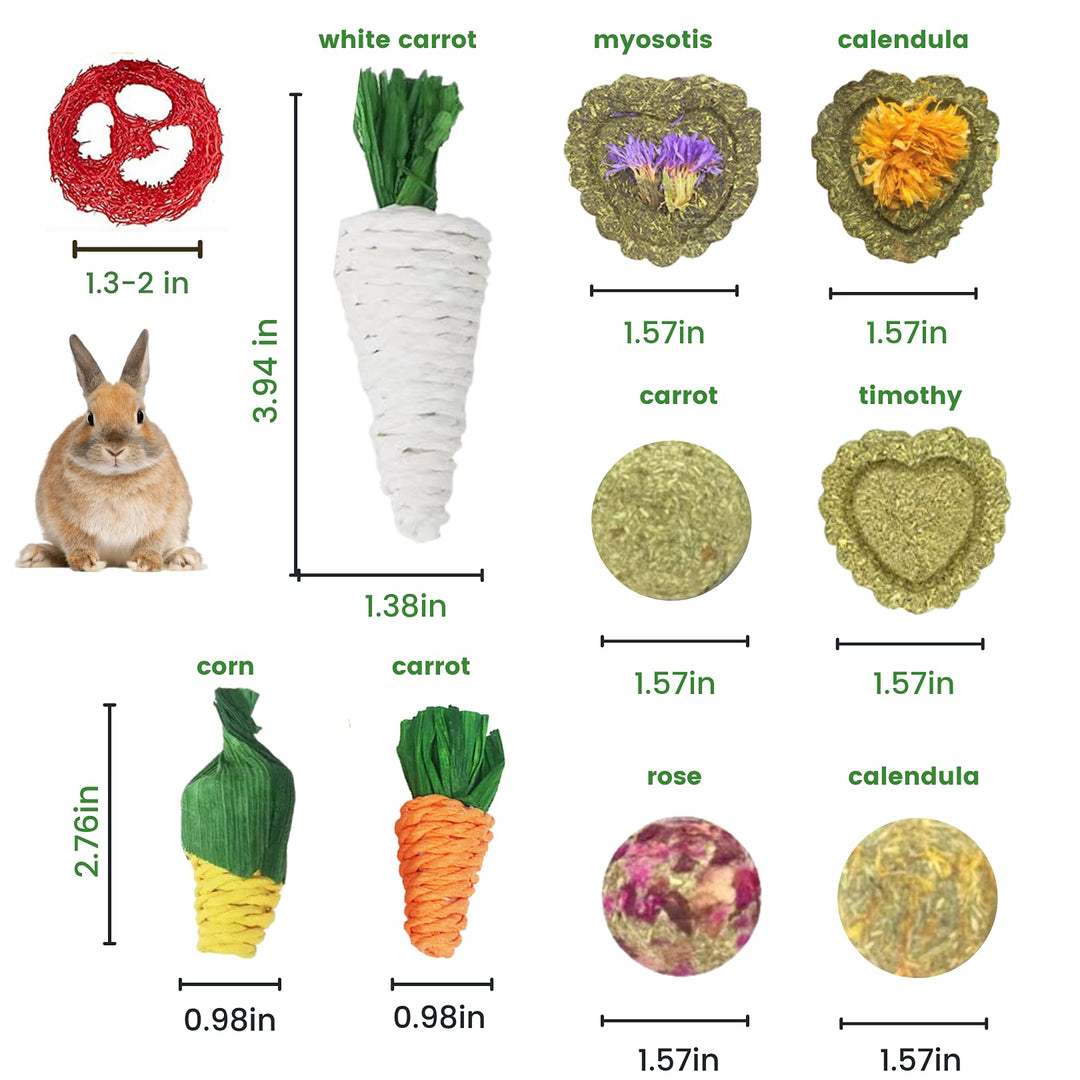 Rabbit Chew Toys 12PCS, Guinea Pig Toys, Bunny Toys for Teeth, Chew Toys and Treats for Rabbit Guinea Pig Hamster Chinchilla, Small Animal Teeth Care