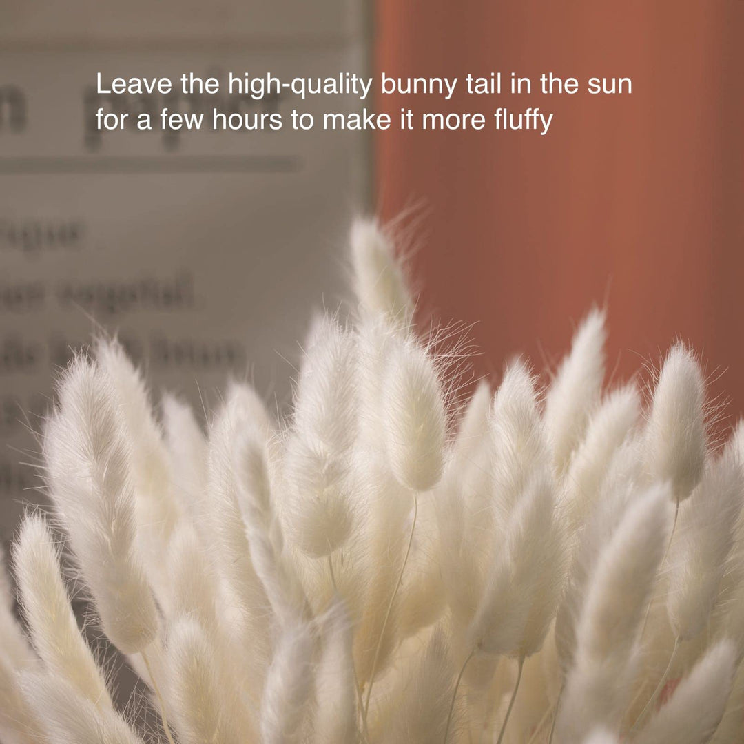 Natural Dried Bunny Tail Grass - 110~120 Stems Rabbit Tail Grass, Lagurus Ovatus for Boho Decor, Dried Pampas Grass Flower Arrangements Wedding Home Kitchen Office Decor (White)