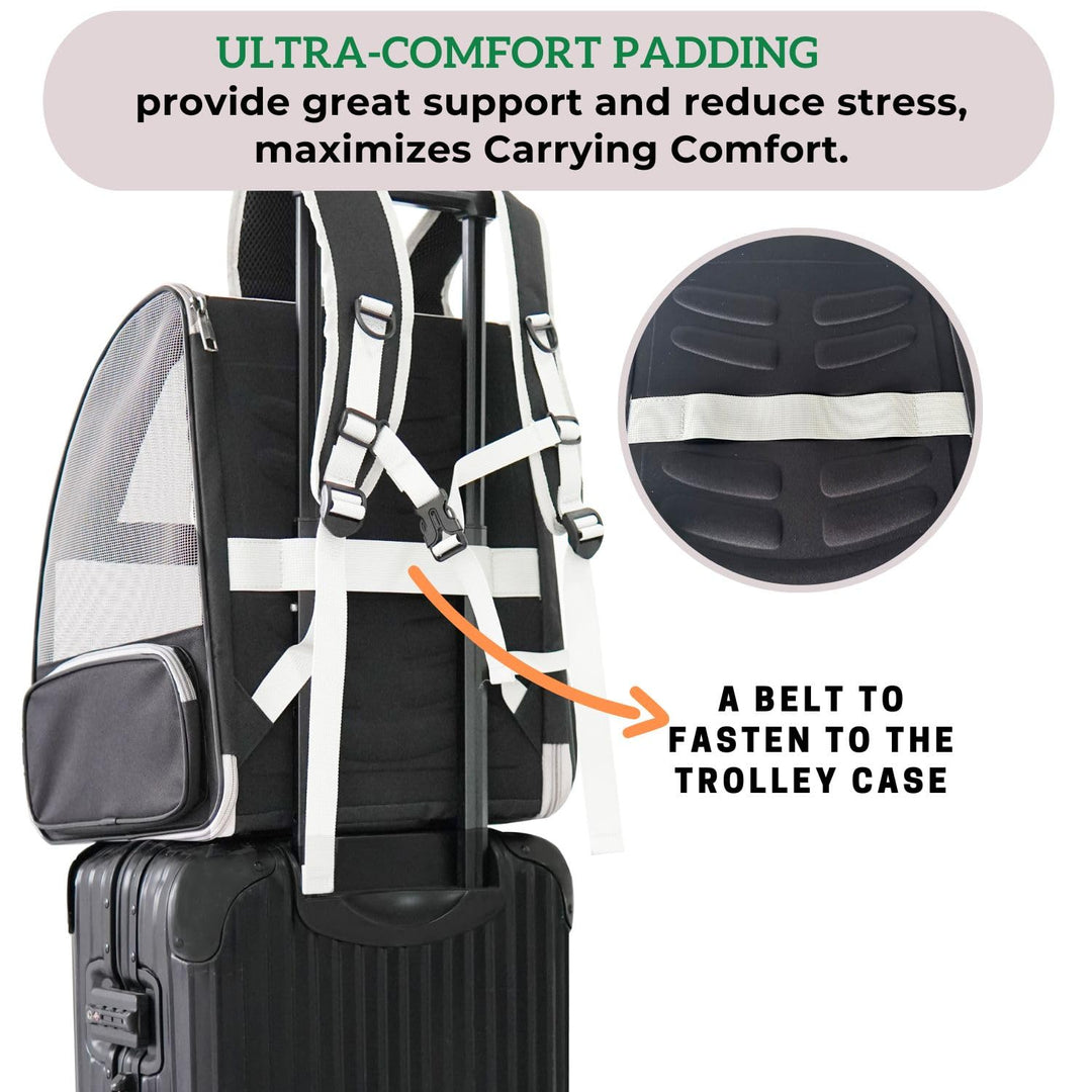 Lollimeow Cat Backpack Carrier, Ideal for Small Animals &amp; Puppies, Outdoor Adventures, Vet Transport. Fully Ventilated Design for Ultimate Comfort On-The-Go