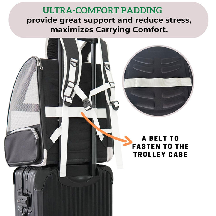 Lollimeow Cat Backpack Carrier, Ideal for Small Animals &amp; Puppies, Outdoor Adventures, Vet Transport. Fully Ventilated Design for Ultimate Comfort On-The-Go