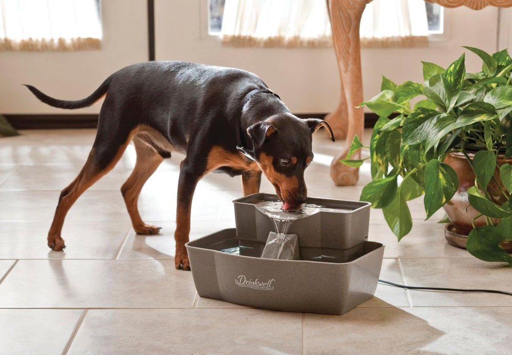 Multi-Tier Pet Fountain – Large Waterer Great for Cats and Dogs – 2 Heights to Drink from – Great for Senior Pets – 100 Oz Water Capacity – Fresh, Filtered Water