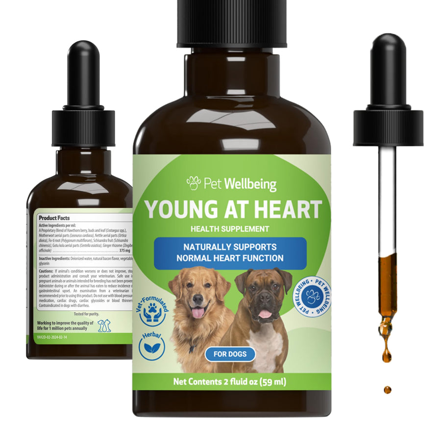 Young at Heart for Dogs - Heart Health, Circulatory & Cardiovascular System, Hawthorn, Motherwort, Schisandra - Veterinarian-Formulated Herbal Supplement 2 fl oz (59 ml)