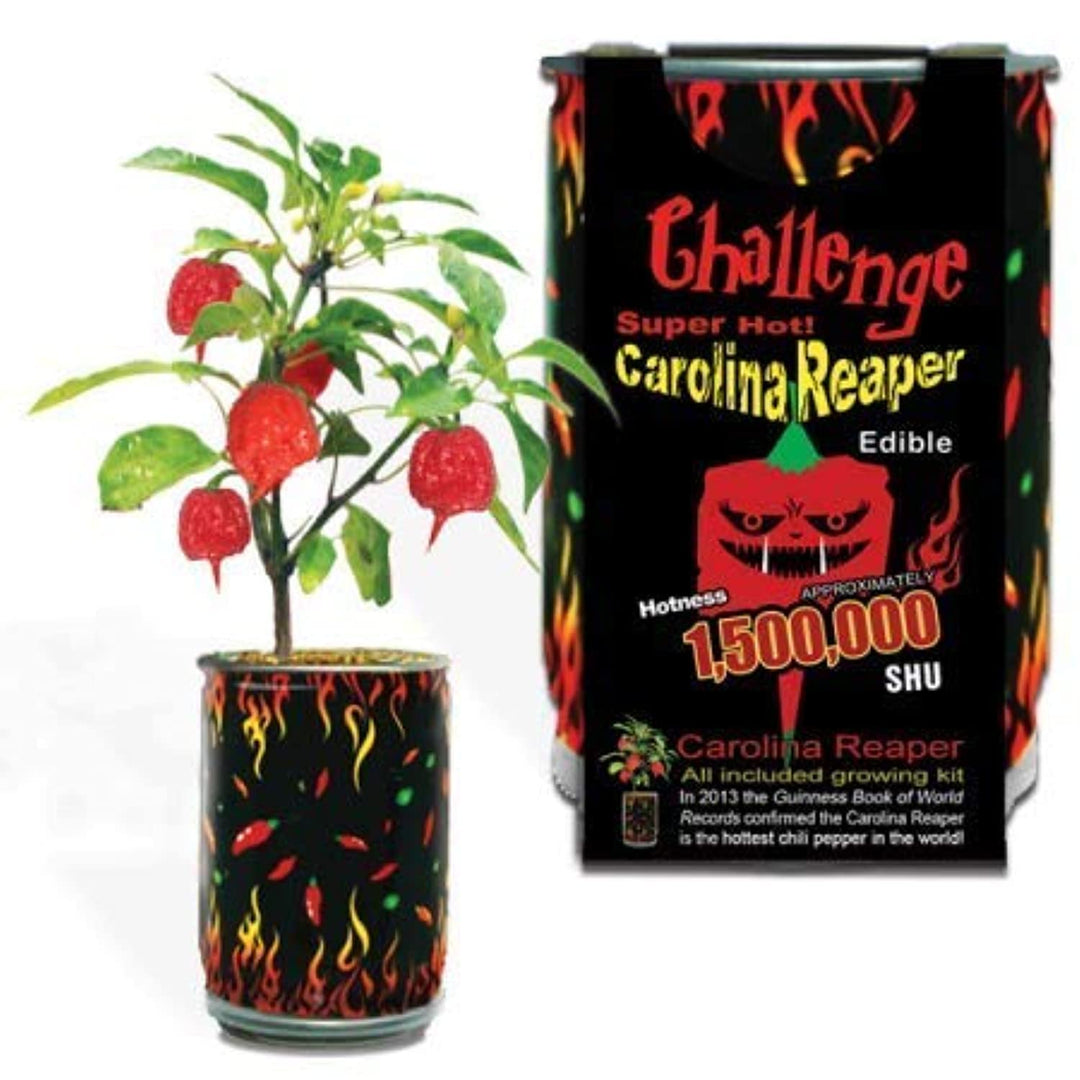 Super Hot Carolina Reaper Plant Kit