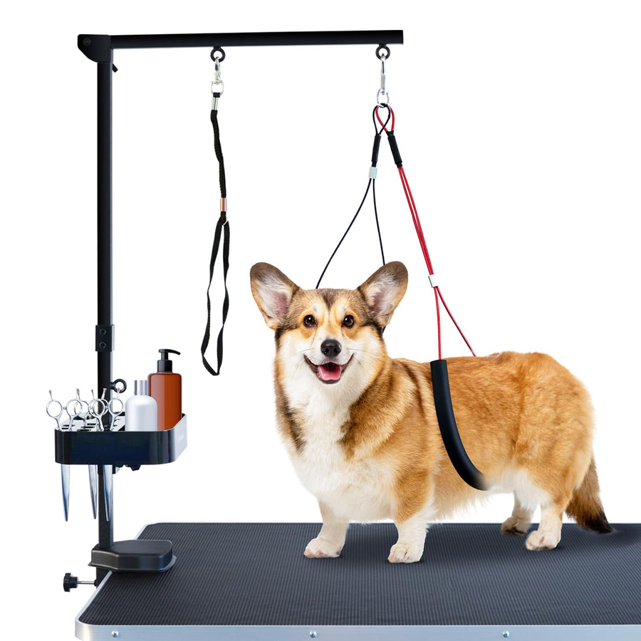 Pet Grooming arm with clamp for Large and Small Dogs - 35 inch Height Adjustable and Free Two No Sit Haunch Holder,Black